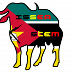 ISSEA STEM ALL star (2017)